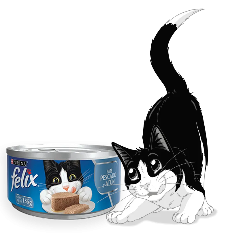 Felix Paté pescado y Atun 156 g