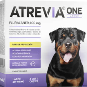 Atrevia One Large