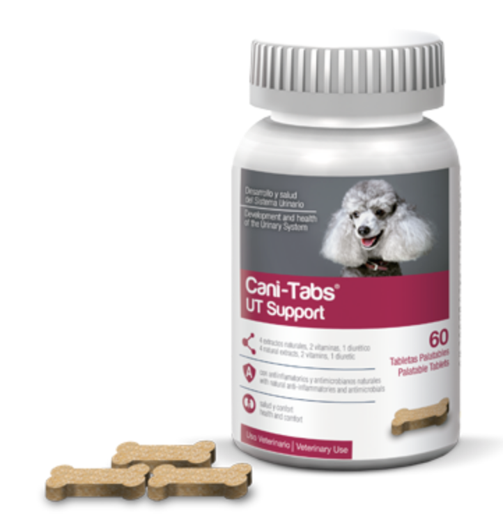 Cani -Tabs UT Support