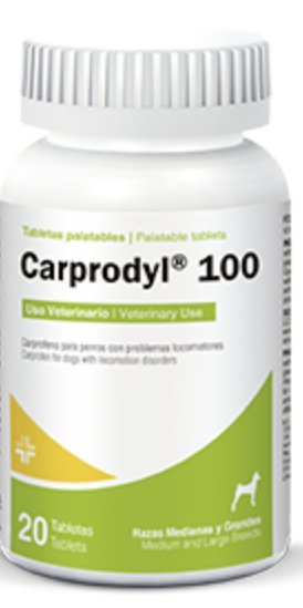 Carprodyl 100